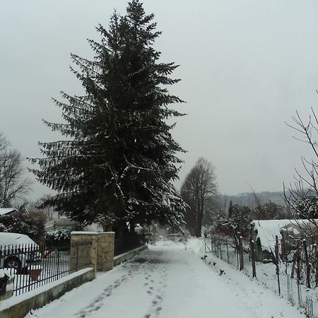 Pensjonat Casa Le Sorelline San Macario In Piano Zewnętrze zdjęcie