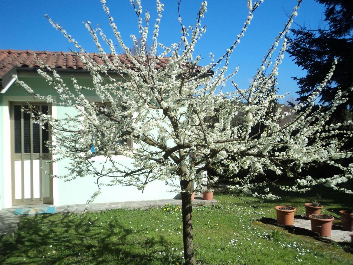 Pensjonat Casa Le Sorelline San Macario In Piano Zewnętrze zdjęcie